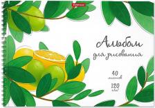 Альбом Erich Krause Альбом для рисования на спирали "Juicy Fruits", A4, 40 листов, микроперфорация