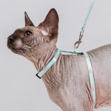 Амуниция для кошек Petmax Шлейка с поводком нейлоновые для кошек, 0,8х32 см, длина поводка 120 см, голубой