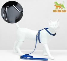 Амуниция для кошек Пижон Комплект для кошек светоотражающий, ширина 1 см, шлейка 21-35 см, поводок 120 см, синий