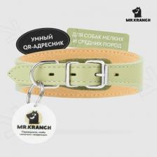 Амуниция для собак Mr.Kranch Ошейник-селедка для собак из натуральной кожи с QR-адресником, 21-25см, нежно-зеленый 4630147175307