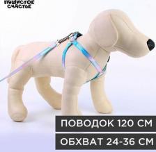 Амуниция для собак Пушистое счастье Комплект "Моя радость" капрон 1 см 1-слойный, шлейка 24-36 см, поводок 120 см