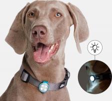 Амуниция для собак RunGo Накладка светящаяся на ошейник для собак зеленая силикон USB 3х8 см 4680368225077