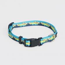 Амуниция для собак RunGo Ошейник 10мм/22-35см горный голубой