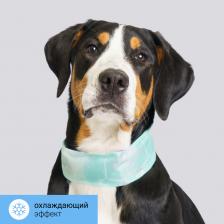 Амуниция для собак Rurri Ошейник охлаждающий зеленый 71*7см