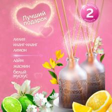 Аромат для дома Breesal Ароматизатор для дома, Диффузор ароматический с палочками Aromа Sphere 2 шт