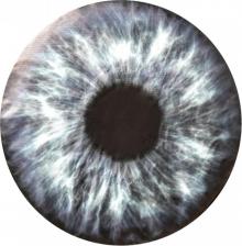 Автопринадлежность Skyway Чехол запасного колеса Глаз 4656760277808