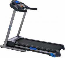 Беговая дорожка Royal Fitness RF-1