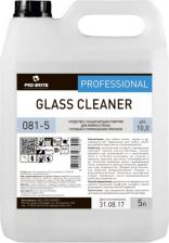 Бытовая химия Pro-Brite Моющее средство для стекол с нашатырным спиртом Glass Cleaner 5 л