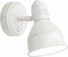 Спот Citilux CL502513