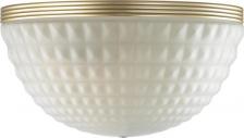 Светильник Odeon Light 4936/1W