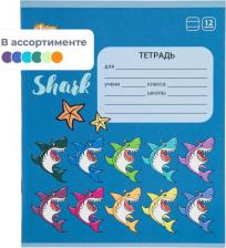 Бумажная продукция №1 School Тетрадь школьная Shark А5 12 листов в линейку 4670072382357