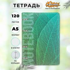 Бумажная продукция №1 School Тетрадь со сменным блоком, А5,120л, клет, кольца Листья, 1 шт