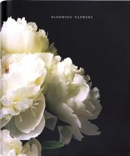 Бумажная продукция Brauberg Тетрадь 404721, комплект 4 шт