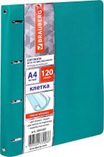 Бумажная продукция Brauberg Тетрадь на кольцах БОЛЬШАЯ А4 240х310 мм 120 л 4606224370286