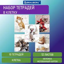 Бумажная продукция Brauberg Тетради 12 л. КОМПЛЕКТ 10 шт. клетка
