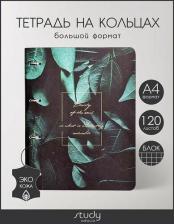 Бумажная продукция InFolio Тетрадь Beauty, Листья, 120 листов, клетка, А4