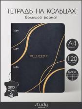 Бумажная продукция InFolio Тетрадь Lines, 120 листов, клетка, А4, черный