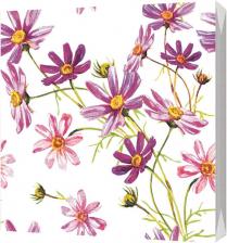 Бумажные полотенца Bulgaree Green Салфетки космея 3 слоя 33х33 см 20 шт