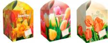 Чай SebaSTea Чай spring tulips 30 г