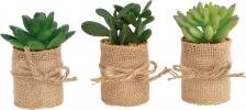 Декор/украшение Garda Decor Набор суккулентов, 3шт