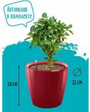 Декор/украшение Lechuza Цветочный горшок Классико с системой полива и съемным горшком 5 л красный 1 шт