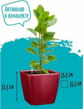 Декор/украшение Lechuza Кашпо напольное с автополивом Quadro LS, 17л, 35.5x35.5x32.5 см, черный блестящий