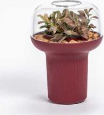 Декор/украшение Scheurich Кашпо Гумидарий Humidarium d19см h20см 0.7л красное вино 073528