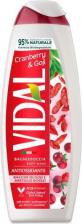 Гель для душа Vidal Гель для душа с ягодами годжи и клюквой 500 мл