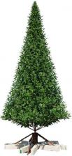 Ель Green Trees Ель Альпийская