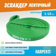 Эспандер Harper Gym Замкнутый эспандер для фитнеса NT961Z 4690222170573