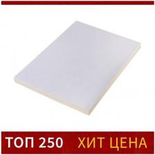 Этикетки Calligrata Бумага А4 100л 80г/м самоклеящаяся белая глянцевая