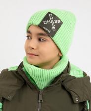 Головной убор Gulliver Шапка бини вязаная зеленая для мальчика (54)