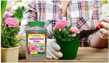 Удобрение БиоМастер Комплексное минеральное удобрение 4660019774826