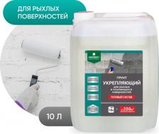 Грунтовка Prosept Укрепляющий грунт для рыхлых и осыпающихся поверхностей 049-3