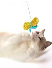Игрушка для кошек Japan Premium Pet Игрушка для кошек Premium Pet Japan длинная дразнилка в форме бабочки