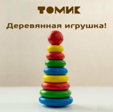 Игрушка для самых маленьких Томик Пирамидка 9 элементов