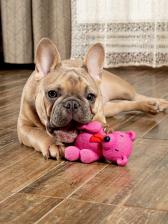 Игрушка для собак Japan Premium Pet Игрушка для собак в форме Медвежонка со сладким ароматом клубники, латексная, для мелких и средних пород