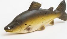 Игрушка для собак Petmax Игрушка для собак Рыба 14 см, латекс