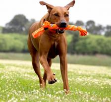 Игрушка для собак Rogz Грейфер для собак Scrubz L веревочная шуршащая сосиска, розовая, 54 см