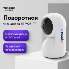 Камера видеонаблюдения Trassir TR-W2S1PT