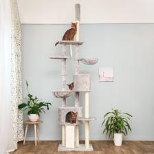 Комплекс для кошек Petmax Дом-когтеточка (60x44,5x243-265 см) для кошек