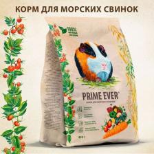 Корм для грызунов Prime Ever Сухой корм для морских свинок, упаковка 2 шт х 450 г
