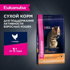 Сухой корм Eukanuba Сухой корм Adult Cat Top Condition Rich in Poultry с домашней птицей для взрослых кошек 10кг