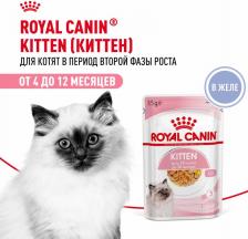 Консервы Royal Canin Kitten Jelly полнорационный влажный корм для котят в период второй фазы роста до 12 месяцев, кусочки в желе, в паучах - 85 г
