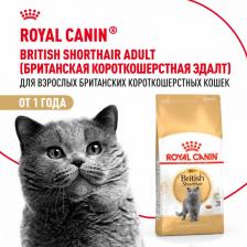 Сухой корм Royal Canin Корм для кошек British Shorthair Adult Британская короткошёрстная, птица сух. 400г