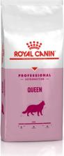 Сухой корм Royal Canin Queen корм для беременных и лактирующих кошек (Диетический, 4 кг.)