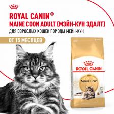 Сухой корм Royal Canin Сухой корм Adult Maine Coon для кошек породы мейн-кун 4кг (542040)