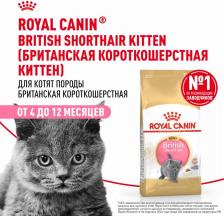 Сухой корм Royal Canin Сухой корм Kitten British Shorthair для котят британской короткошерстной породы 2кг