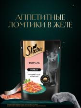 Консервы Sheba Влажный корм для кошек Core ломтики в желе с форелью 28 шт. х 75 г