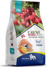 Корм для собак Carni Life Medium Maxi полнорационный сухой корм для собак средних и крупных пород, низкозерновой, с лососем, апельсином и клюквой - 2,5 кг повседневный супер